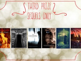 Third Prize