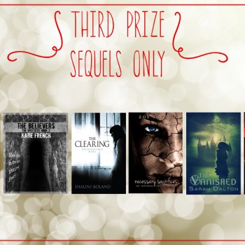 Third Prize
