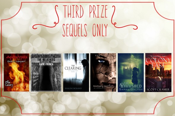 Third Prize
