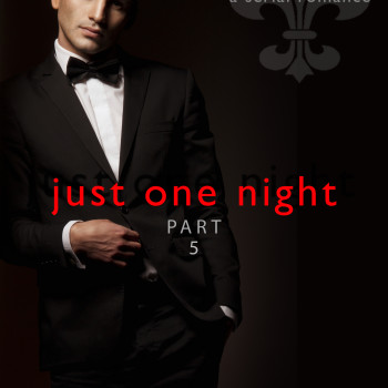 JustOneNight5.cover copy